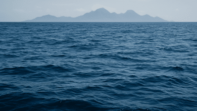 Brasil sediará 'Copa do Mundo do Oceano' em 2027 8 Brasil sediará 'Copa do Mundo do Oceano' em 2027