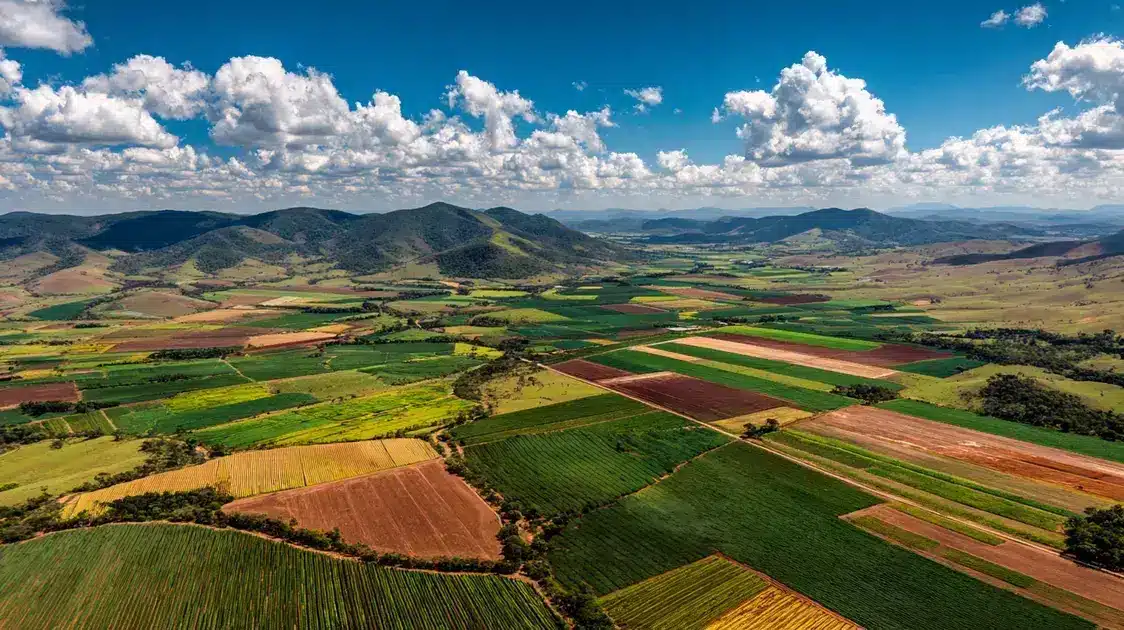 Agro Brasileiro Exporta US$ 82 Bi e Reforça Protagonismo