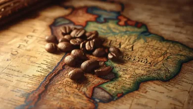 Café de Mandaguari ganha destaque com Indicação Geográfica 4 Café Mandaguari Ganha Destaque com Indicação Geográfica