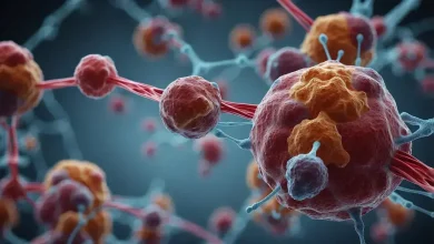 Estudo revela proteínas que melhoram imunoterapia contra câncer 6 Estudo revela proteínas que melhoram imunoterapia contra câncer