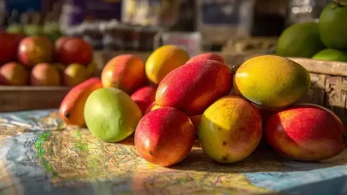 Manga lidera exportações de frutas brasileiras em 2024 10 Exportação de Frutas: Brasil Celebra Manga Campeã no Mercado