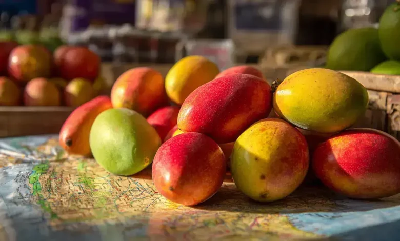 Exportação de Frutas: Brasil Celebra Manga Campeã no Mercado