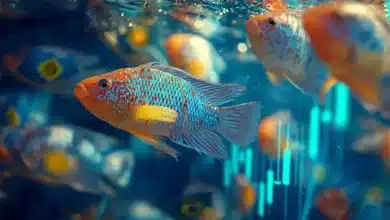 Brasil inicia exportação de peixes ornamentais para o Uruguai 8 Exportação de Peixes Ornamentais para Uruguai Impulsiona Comércio