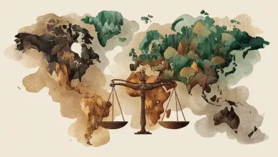 Países podem pagar reparações por danos climáticos, decide Corte da ONU 8 Países podem pagar reparações por danos climáticos, decide corte da ONU