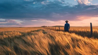 EUA lançam Plano de Segurança Agrícola contra influência estrangeira 6 Plano de Ação de Segurança Agrícola Protege Terras Americanas