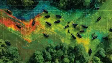 Satélites transformam pecuária sustentável com precisão inédita 7 Satélites Transformam Pecuária Sustentável com Precisão Inédita