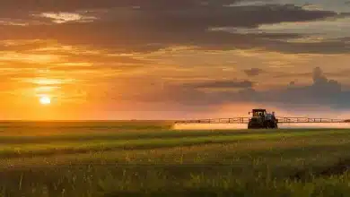 Uso de herbicidas no Brasil cresce 128% 1 Uso de Herbicidas no Brasil Cresce 128%: Impactos e Soluções