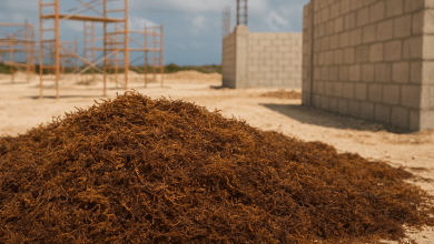 Sargaço revoluciona a construção civil com novas aplicações 5 Sargaço revoluciona a construção civil com novas aplicações