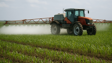 Biochar humano surge como alternativa sustentável para a agricultura 4 Biochar humano surge como alternativa sustentável para a agricultura
