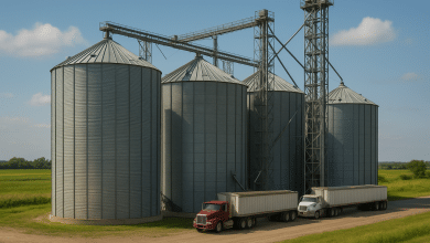 Agro brasileiro conquista 400 novos mercados em 2,5 anos 5 Agro brasileiro conquista 400 novos mercados em 2,5 anos