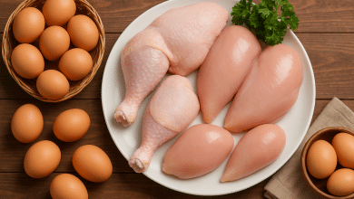 Projeções indicam queda nas exportações de frango e recorde de vendas de ovos em 2025 1 Projeções indicam queda nas exportações de frango em 2025 e recorde de vendas de ovos