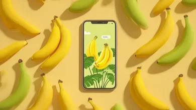 Aplicativo BananaRipe minimiza perdas pós-colheita 9 Aplicativo BananaRipe Minimiza Perdas Pós-Colheita
