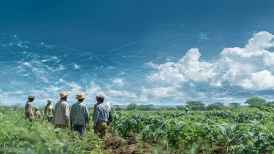 Comissão aprova projeto que prioriza produção agropecuária 6 Comissão aprova projeto que prioriza produção agropecuária