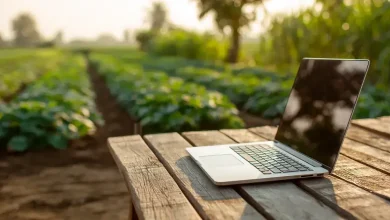 Curso gratuito da Embrapa avalia adoção de tecnologias agropecuárias 9 Curso Gratuito Embrapa Avalia Adoção de Tecnologias Agropecuárias