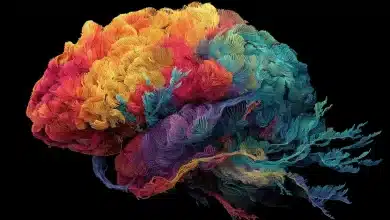 Descubra como memórias cerebrais evoluem ao longo do tempo 9 Descubra como memórias cerebrais evoluem ao longo do tempo