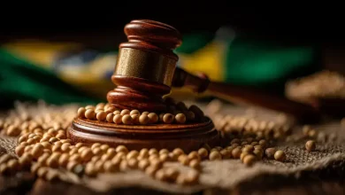 Justiça suspende decisão do Cade sobre paralisação da moratória da soja 2 Justiça suspende decisão do Cade sobre moratória da soja