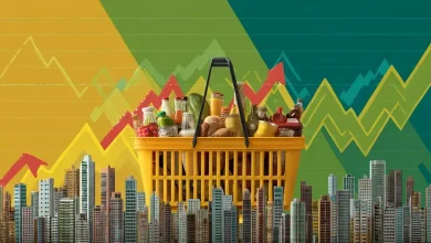 Queda no custo da cesta básica em 15 capitais brasileiras em julho 1 Queda no Custo da Cesta Básica em 15 Capitais Brasileiras