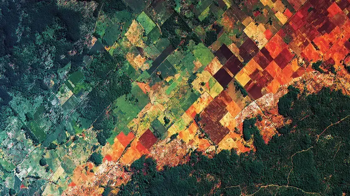 Transformações do uso da terra no Brasil reveladas pelo MapBiomas