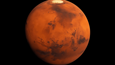 Vida em Marte? Rover da NASA descobre possível biossinal antigo 6 Vida em Marte? Rover da NASA descobre possível biossinal antigo