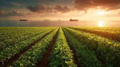 Togo e Indonésia abrem portas para produtos do agronegócio brasileiro 4 Abertura de Mercados Impulsiona Agronegócio Brasileiro Globalmente