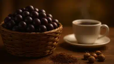 Café de açaí: caroço vira bebida sustentável e nutritiva 3 Café de açaí: caroço vira bebida sustentável e nutritiva