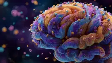 Estudo da USP liga consumo de adoçantes artificiais ao declínio cognitivo 10 Adoçantes artificiais associados ao declínio cognitivo acelerado