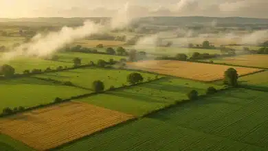 Produção de carne e agricultura estão no centro da crise ambiental 7 Produção de carne e agricultura estão no centro da crise ambiental