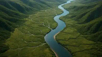 Crise climática afeta bacias fluviais globais em 2024 5 Crise climática afeta bacias fluviais globais em 2024
