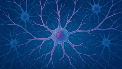 Substituição de células imunes cerebrais pode tratar doenças 7 Substituição de células imunes cerebrais pode tratar doenças