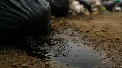 Chorume tóxico ameaça solos agrícolas na Inglaterra 10 Chorume tóxico ameaça solos agrícolas na Inglaterra