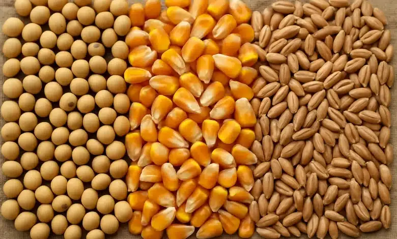 Argentina encerra isenção de impostos na exportação de commodities
