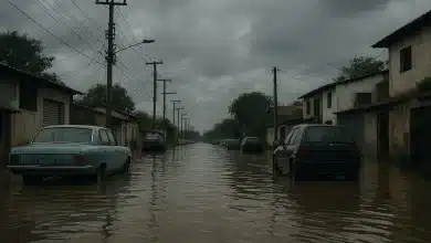 Metade das cidades brasileiras enfrenta alta vulnerabilidade climática 4 Metade das cidades brasileiras enfrenta alta vulnerabilidade climática