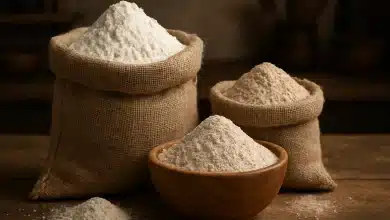 Projeto Quirera fortalece a produção de farinhas artesanais no Pará 8 Projeto Quirera fortalece a produção de farinhas artesanais no Pará