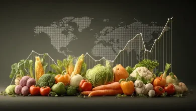 Índice de Preços de Alimentos da FAO fica estável em agosto 3 Índice de Preços FAO Estável em Agosto: Impactos e Tendências