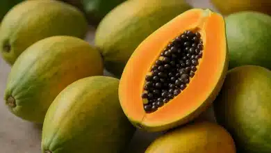 Brasil lidera brochura da OCDE sobre o mamão e impulsiona exportações 10 Brasil lidera brochura da OCDE sobre o mamão e impulsiona exportações