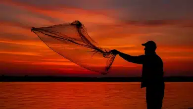 Entrada em vigor do Acordo sobre Subsídios à Pesca da OMC 7 Entrada em vigor do Acordo sobre Subsídios à Pesca da OMC