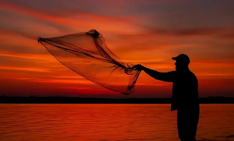 Entrada em vigor do Acordo sobre Subsídios à Pesca da OMC