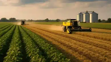 Exportações agro atingem US$14,29 bi em agosto, crescimento sustentável 6 Exportações agro atingem US$14,29 bi em agosto, crescimento sustentável