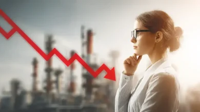 Preços da indústria caem 0,30% em julho 3 Preços da Indústria Caem 0,30% em Julho: Impactos e Análises