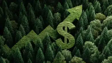 Valor da produção florestal cresce 16,7% e alcança R$ 44,3 bilhões em 2024 4 Produção Florestal Cresce 16,7% e Alcança R$ 44,3 Bilhões