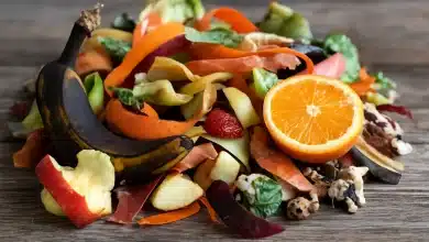 Biogás de resíduos de frutas revoluciona produção de energia 2 Biogás de resíduos de frutas revoluciona produção de energia