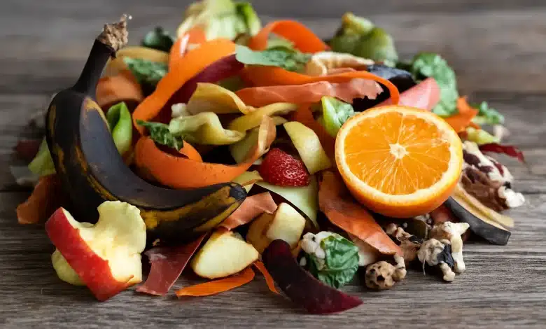 Biogás de resíduos de frutas revoluciona produção de energia 1 Biogás de resíduos de frutas revoluciona produção de energia