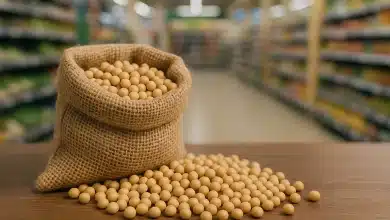 Supermercados europeus cobram restrição à soja de áreas desmatadas do Brasil 2 Supermercados europeus cobram restrição à soja de áreas desmatadas do Brasil