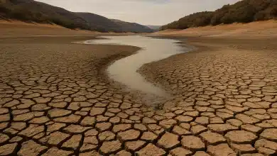 Mudanças climáticas tornam ciclo da água mais irregular, alerta ONU 4 Mudanças climáticas tornam ciclo da água mais irregular, alerta ONU