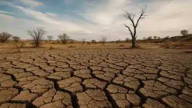 Seca relâmpago: entenda o fenômeno e seus impactos 8 Seca relâmpago: entenda o fenômeno e seus impactos