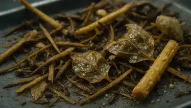 Bactérias digestivas transformam resíduos vegetais em energia 3 Bactérias digestivas transformam resíduos vegetais em energia