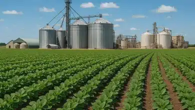 Agroindústria brasileira registra terceira queda consecutiva 1 Agroindústria brasileira registra terceira queda consecutiva