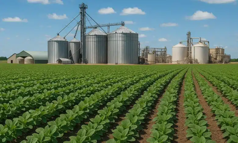 Agroindústria brasileira registra terceira queda consecutiva