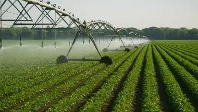 Aprosoja MT defende tarifa de energia reduzida para irrigação 8 Aprosoja MT defende tarifa de energia reduzida para irrigação