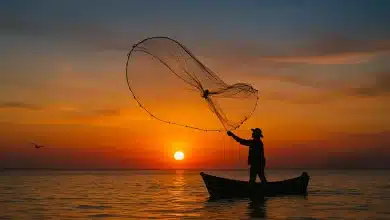 Governo suspende mais de 130 mil licenças de pescadores por fraude 10 Governo suspende mais de 130 mil licenças de pescadores por fraude
